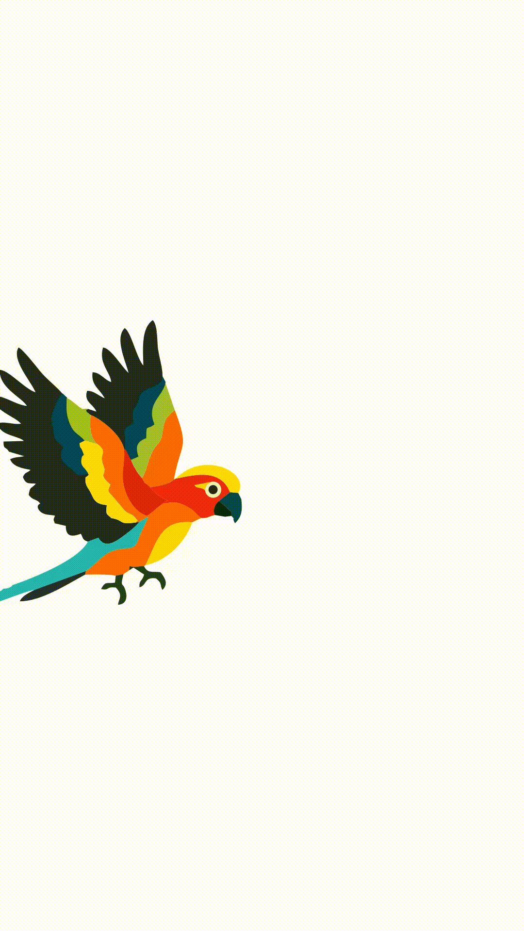 Motion Graphics